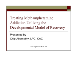 Treating Methamphetamine Addiction Utilizing the Developmental Model of Recovery Presented by