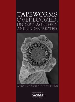 TAPEWORMS OVERLOOKED, UNDERDIAGNOSED, AND UNDERTREATED