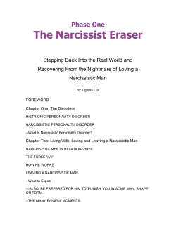 The Narcissist Eraser  Phase One Stepping Back Into the Real World and
