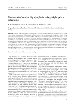 Treatment of canine hip dysplasia using triple pelvic osteotomy