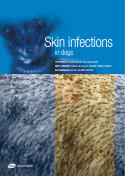 Skin infections in dogs Tim Nuttall Ralf S. Mueller