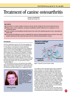 Treatment of canine osteoarthritis WALTHAM Focus Vol 10  No 2 2000