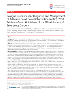 Bologna Guidelines for Diagnosis and Management
