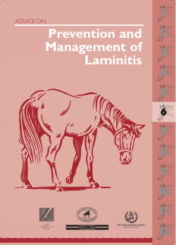 Prevention and Management of Laminitis 1