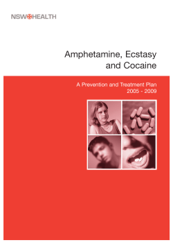 Amphetamine, Ecstasy and Cocaine A Prevention and Treatment Plan 2005 - 2009
