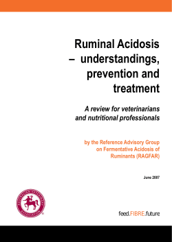 Ruminal Acidosis –  understandings, prevention and treatment