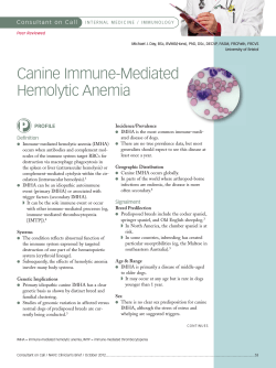 Canine Immune-Mediated Hemolytic Anemia PROFILE