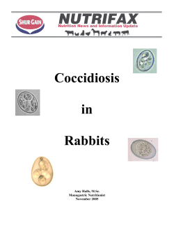 Coccidiosis  in Rabbits
