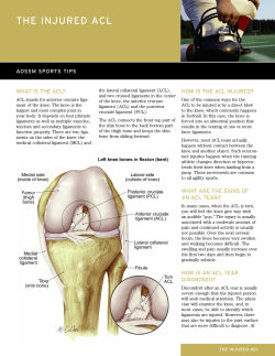 THE INJURED ACL AOSSM SPORTS TIPS WHAT IS THE ACL?