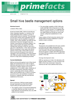 Small hive beetle management options
