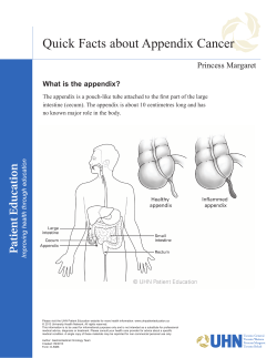 Quick Facts about Appendix Cancer Princess Margaret What is the appendix?
