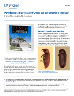Powderpost Beetles and Other Wood-Infesting Insects 1
