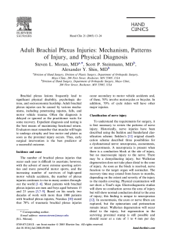 Adult Brachial Plexus Injuries: Mechanism, Patterns of Injury, and Physical Diagnosis ,