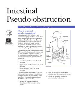 Intestinal Pseudo-obstruction What is intestinal pseudo-obstruction?