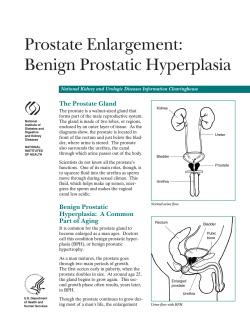 Prostate Enlargement: Benign Prostatic Hyperplasia The Prostate Gland
