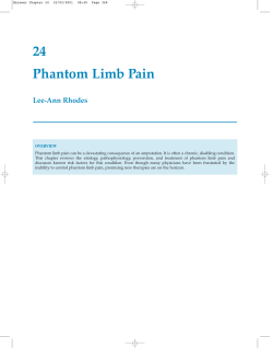 24 Phantom Limb Pain Lee-Ann Rhodes