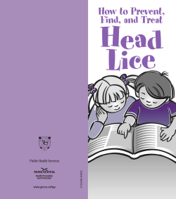 Head Lice How to Prevent, Find, and Treat