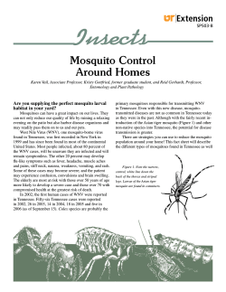Mosquito Control Around Homes SP503-B