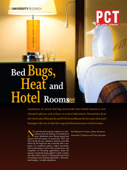 Bugs, Heat Hotel