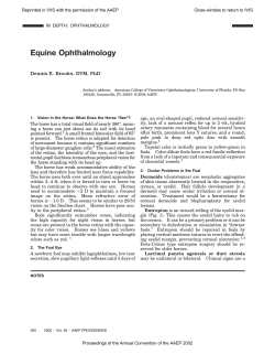 Equine Ophthalmology Dennis E. Brooks, DVM, PhD IN DEPTH: OPHTHALMOLOGY
