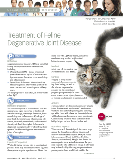 Treatment of Feline Degenerative Joint Disease