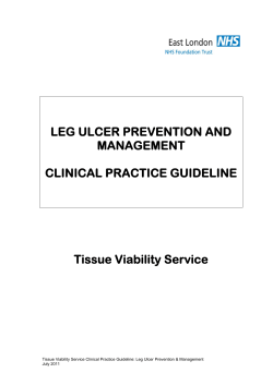 LEG ULCER PREVENTION AND MANAGEMENT CLINICAL PRACTICE GUIDELINE