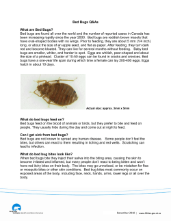 Bed Bugs Q&amp;As  What are Bed Bugs?