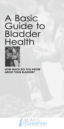 A Basic Guide to Bladder Health