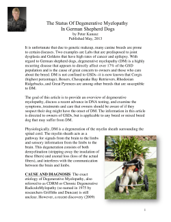 The Status Of Degenerative Myelopathy In German Shepherd Dogs
