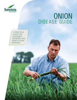 OniOn Dise ase guiDe A prActicAl guide for