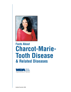 Charcot-Marie- Tooth Disease &amp; Related Diseases Facts About