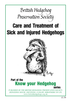 Care and Treatment of Sick and Injured Hedgehogs Know your Hedgehog