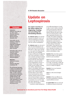 Update on Leptospirosis