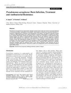 Pseudomonas aeruginosa and Antibacterial Resistance