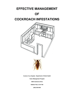 EFFECTIVE MANAGEMENT OF COCKROACH INFESTATIONS