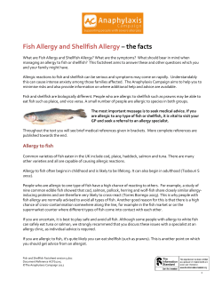 Fish Allergy and Shellfish Allergy – the facts