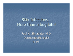Skin Infections… More than a bug bite! Paul K. Shitabata, M.D. Dermatopathologist