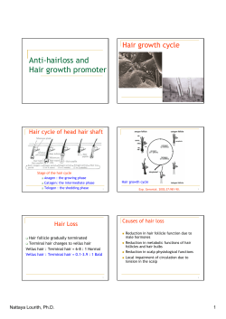 Anti-hairloss and Hair growth promoter Hair growth cycle