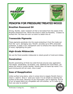 PENOFIN FOR PRESSURE TREATED WOOD Brazilian Rosewood Oil