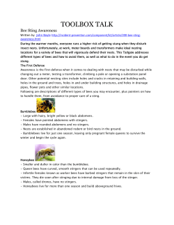 TOOLBOX TALK Bee Sting Awareness  awareness.html