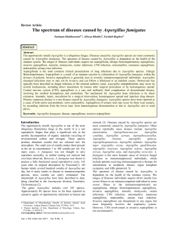 Aspergillus fumigatus  Review Article Abstract