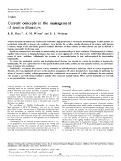 Rheumatology 2006;45:508–521 doi:10.1093/rheumatology/kel046 Advance Access publication 20 February 2006