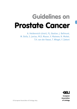 Prostate Cancer Guidelines on