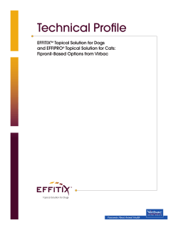 Technical Profile