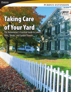 Taking Care of Your Yard The Homeowner’s Essential Guide to Lawns,
