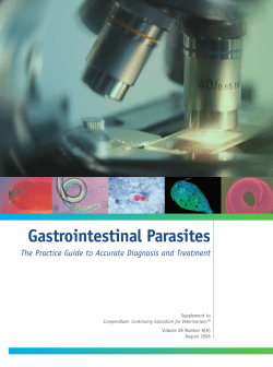 Gastrointestinal Parasites The Practice Guide to Accurate Diagnosis and Treatment Supplement to