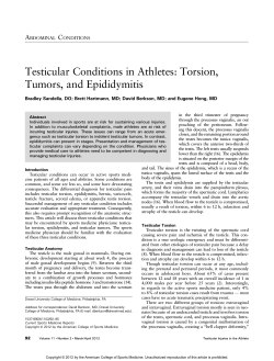 Testicular Conditions in Athletes: Torsion, Tumors, and Epididymitis