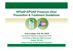 NPUAP - EPUAP Pressure Ulcer Prevention &amp; Treatment Guidelines
