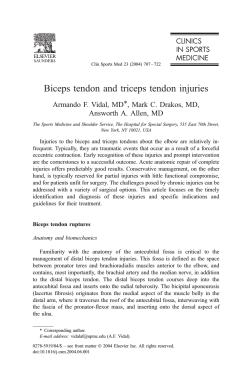 Biceps tendon and triceps tendon injuries Answorth A. Allen, MD
