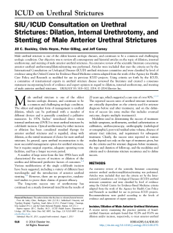 ICUD on Urethral Strictures SIU/ICUD Consultation on Urethral